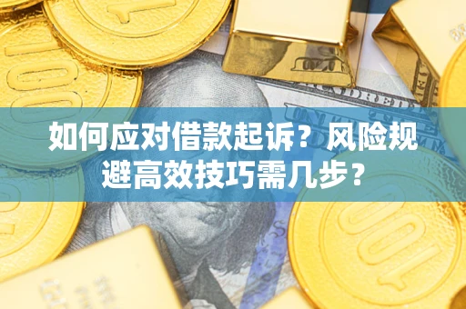 济南如何应对借款起诉？风险规避高效技巧需几步？
